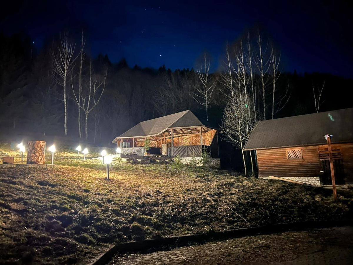 Villa & Spa 4Temporadas - Plaiul Foii Zărneşti Extérieur photo