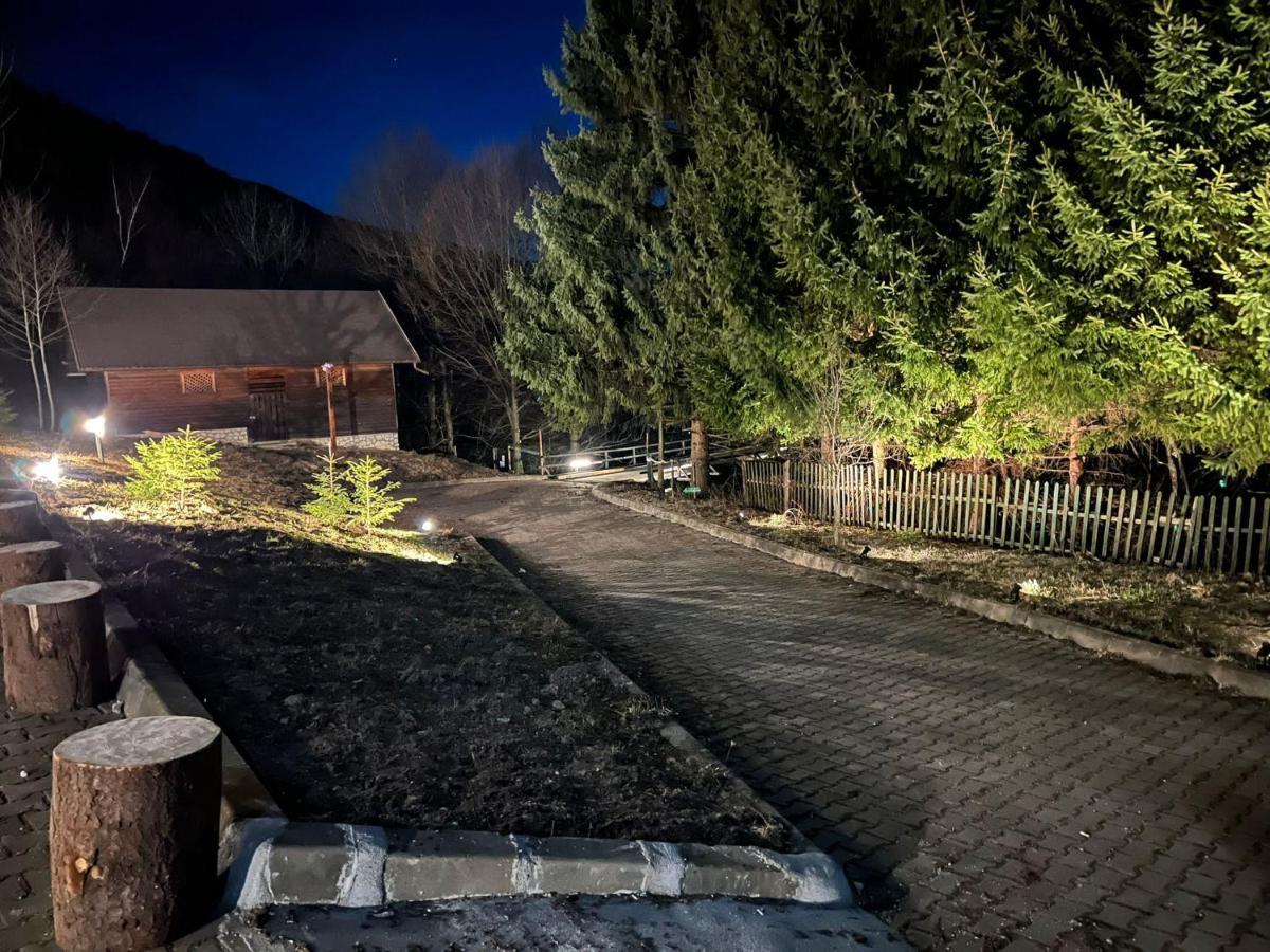 Villa & Spa 4Temporadas - Plaiul Foii Zărneşti Extérieur photo