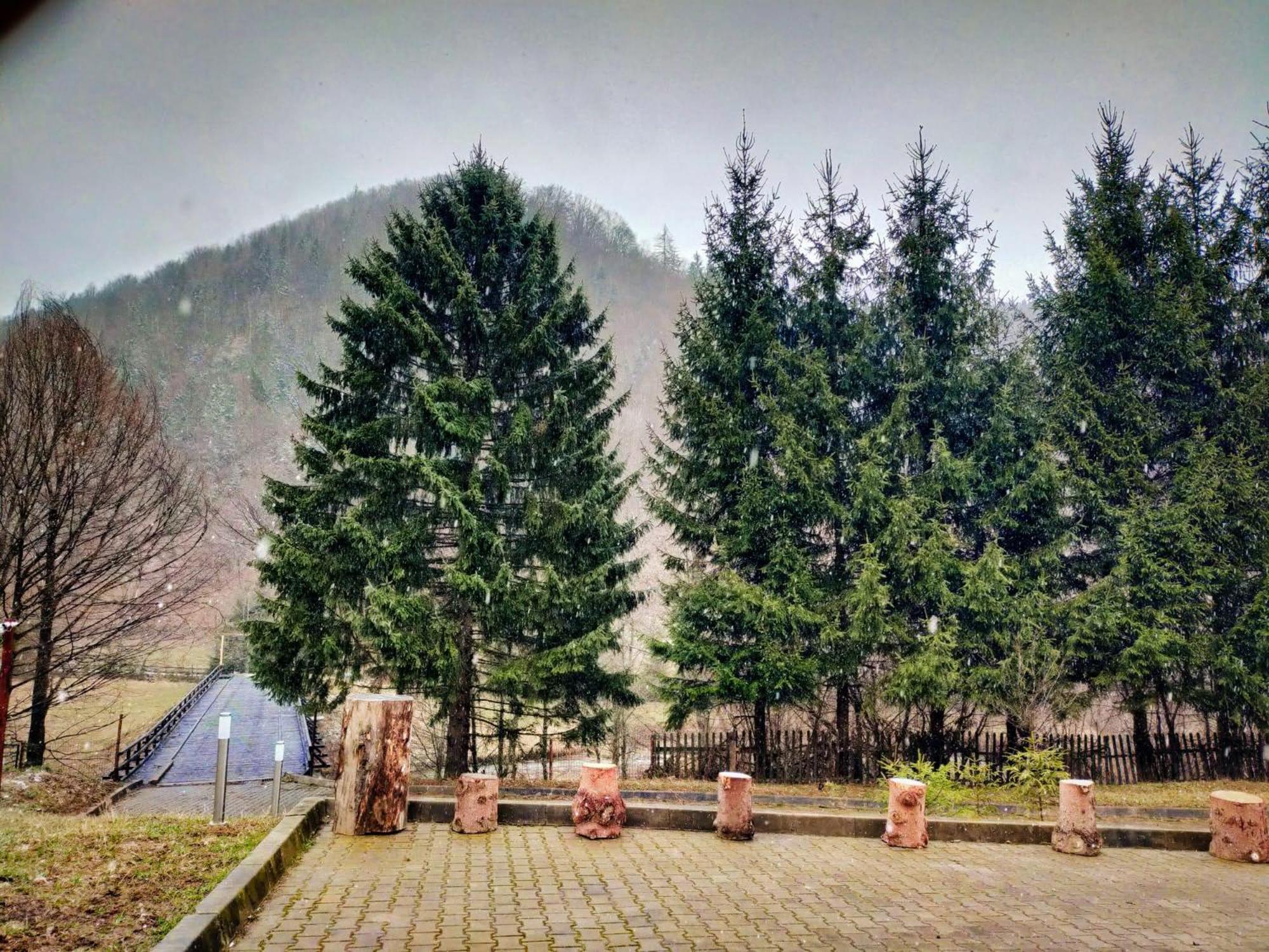 Villa & Spa 4Temporadas - Plaiul Foii Zărneşti Extérieur photo