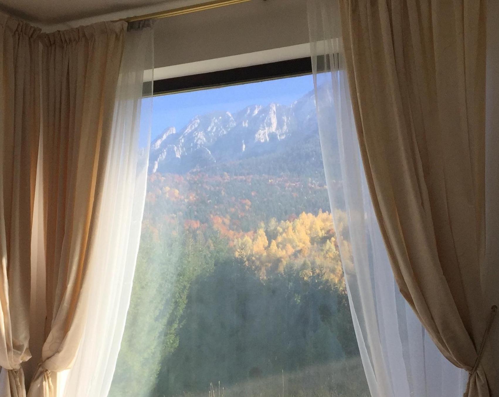 Villa & Spa 4Temporadas - Plaiul Foii Zărneşti Extérieur photo
